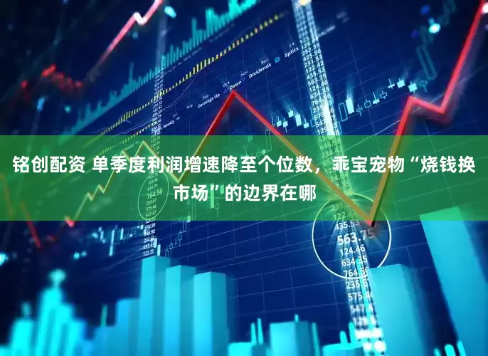 铭创配资 单季度利润增速降至个位数，乖宝宠物“烧钱换市场”的边界在哪