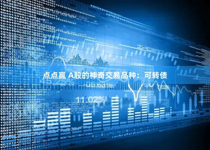点点赢 A股的神奇交易品种：可转债