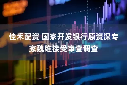 佳禾配资 国家开发银行原资深专家魏维接受审查调查